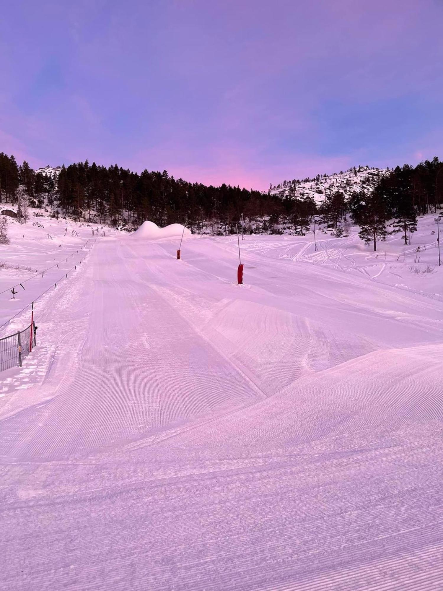 Øyuvstad Hygge Pa Fjelletヴィラ エクステリア 写真