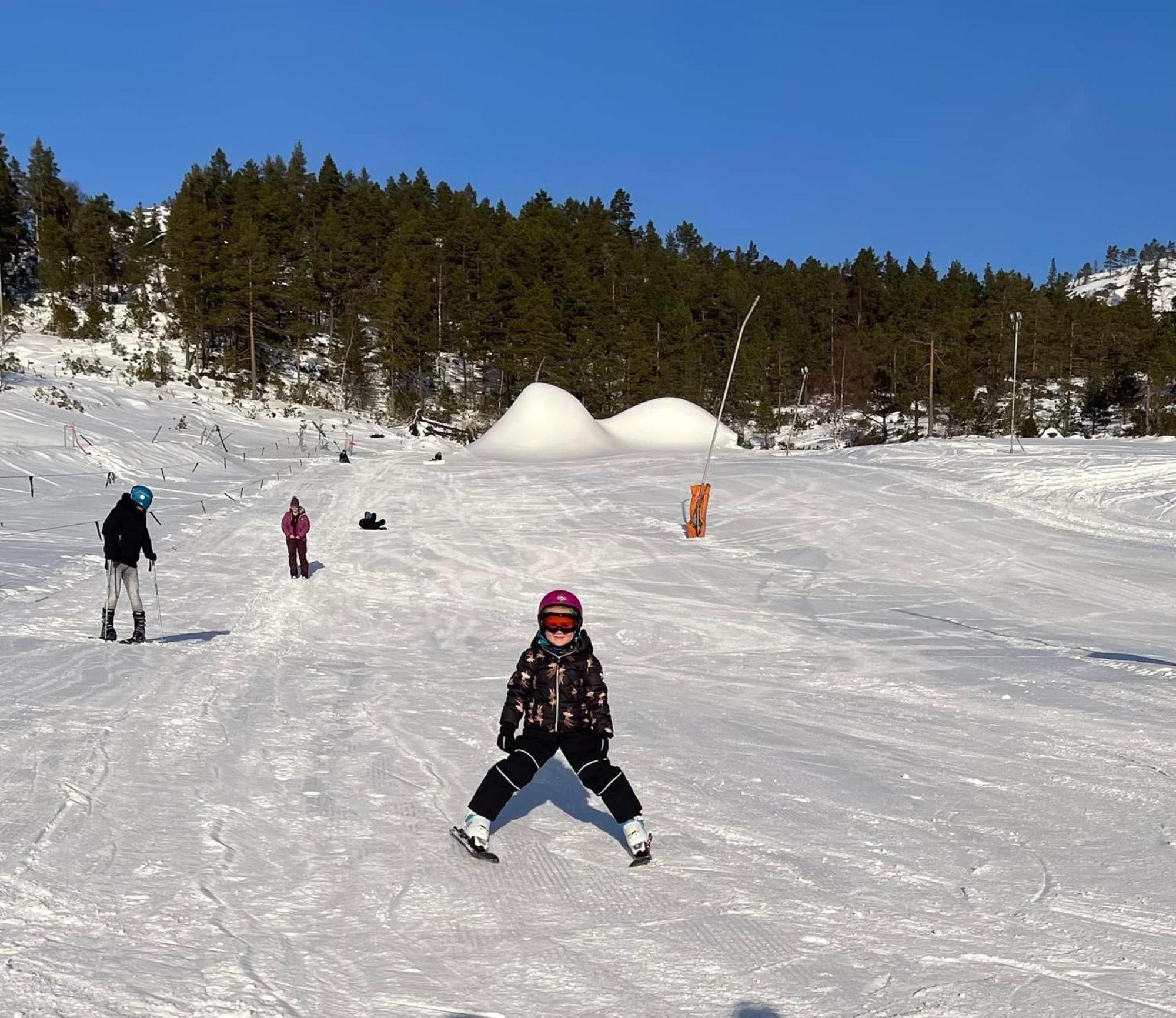 Øyuvstad Hygge Pa Fjelletヴィラ エクステリア 写真