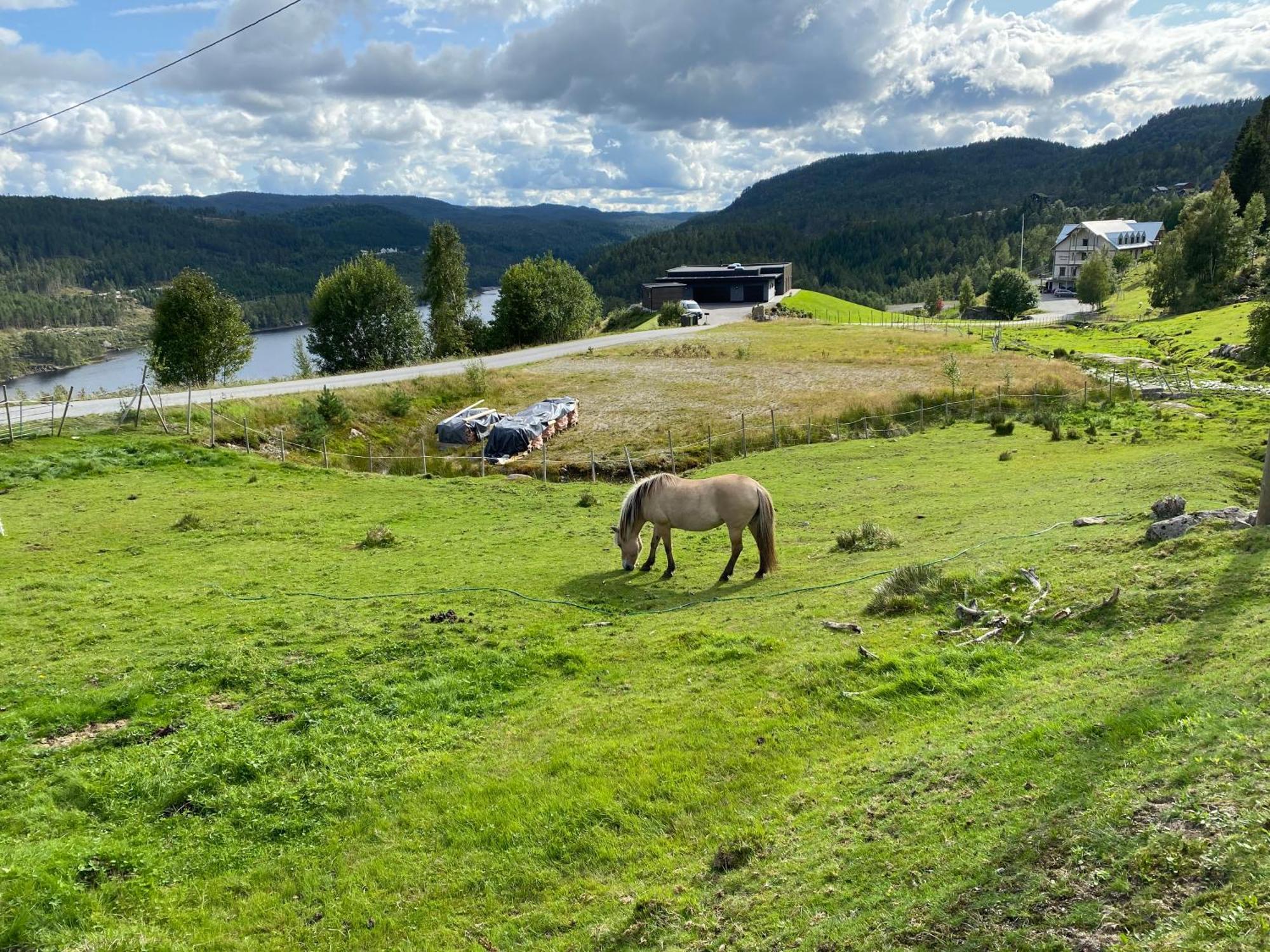 Øyuvstad Hygge Pa Fjelletヴィラ エクステリア 写真