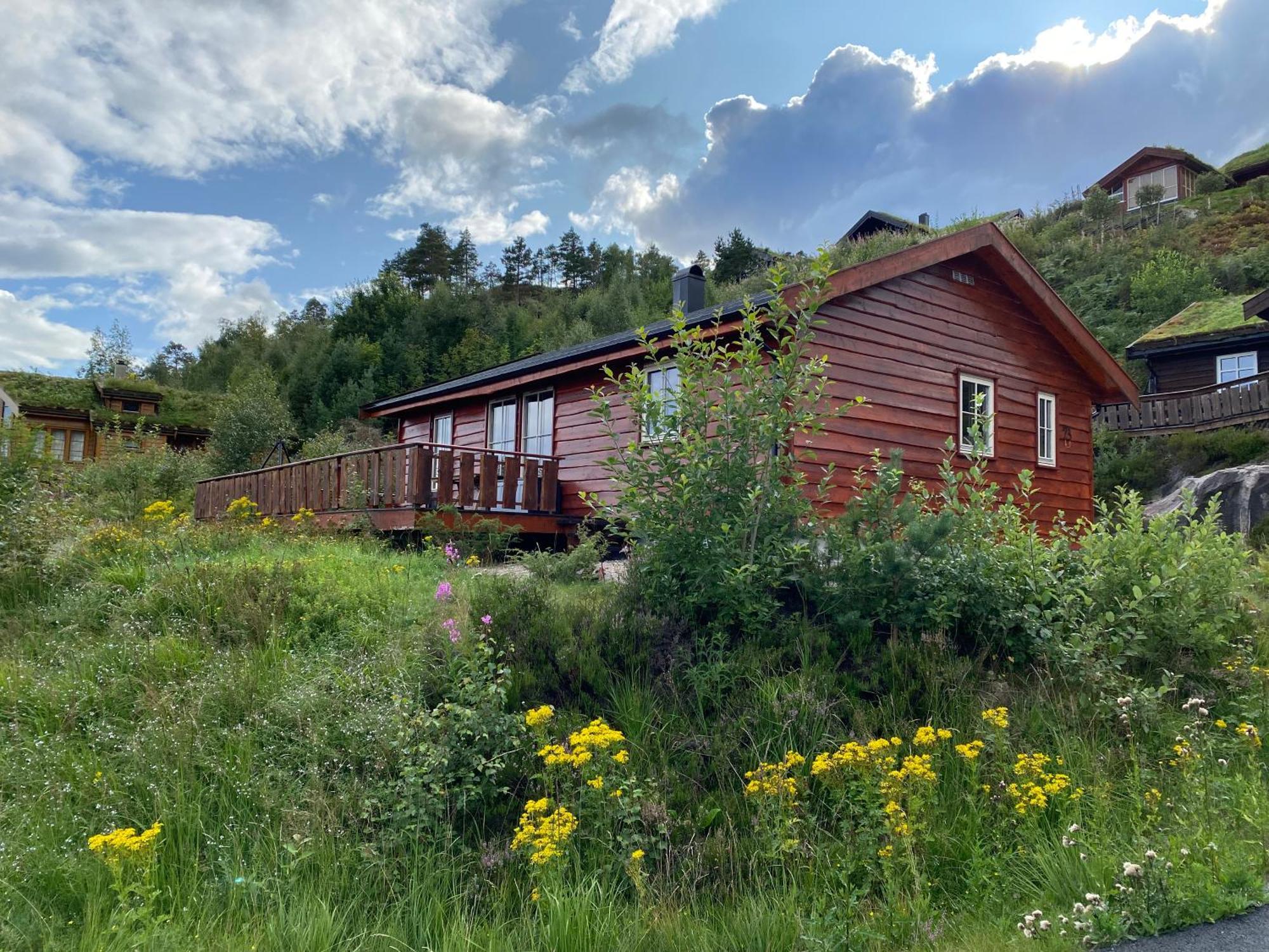 Øyuvstad Hygge Pa Fjelletヴィラ エクステリア 写真